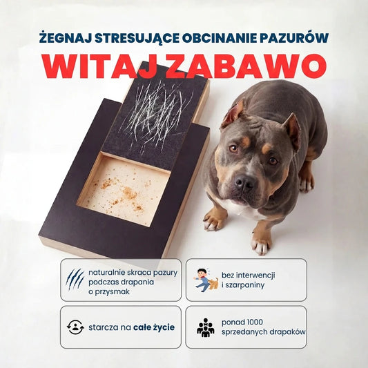 Drapak do pazurów dla psa z szufladką na smakołyki
